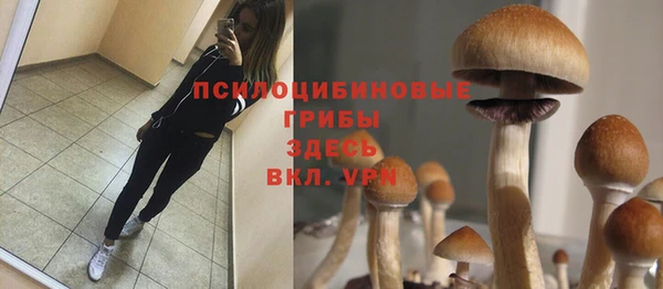 MESCALINE Белоозёрский