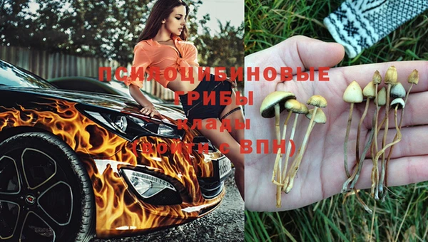МДПВ Богданович