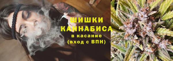 мдпв Богородицк