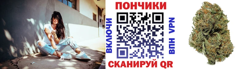 сколько стоит  Минеральные Воды  гидра tor  Каннабис сатива 